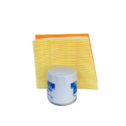 Kit Filtro De Ar + Filtro De Óleo New Fiesta 1.6 2016