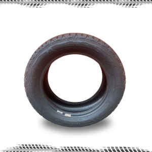 PNEU 205/55 ARO16 GOODYEAR WRANGLER TERRITORY AT 91H